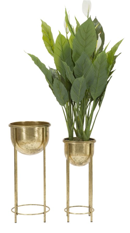 P/FIORI GLAM COPPIA CM ? 27X62-21,5X52