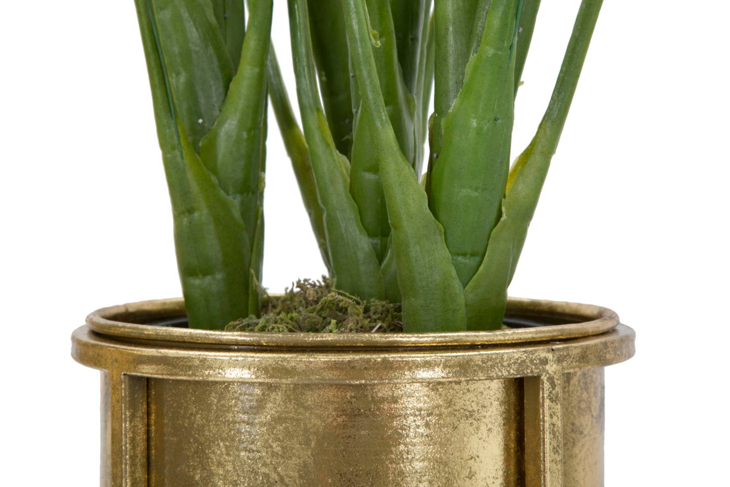 P/FIORI GLAM COPPIA CM ? 27X62-21,5X52