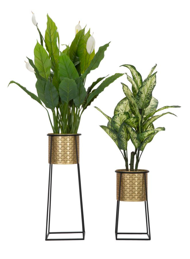 P/VASI COPPIA COUPE CM ? 26X70-23X45