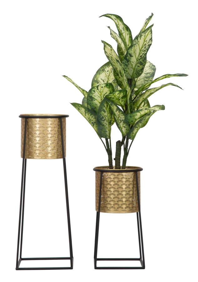 P/VASI COPPIA COUPE CM ? 26X70-23X45