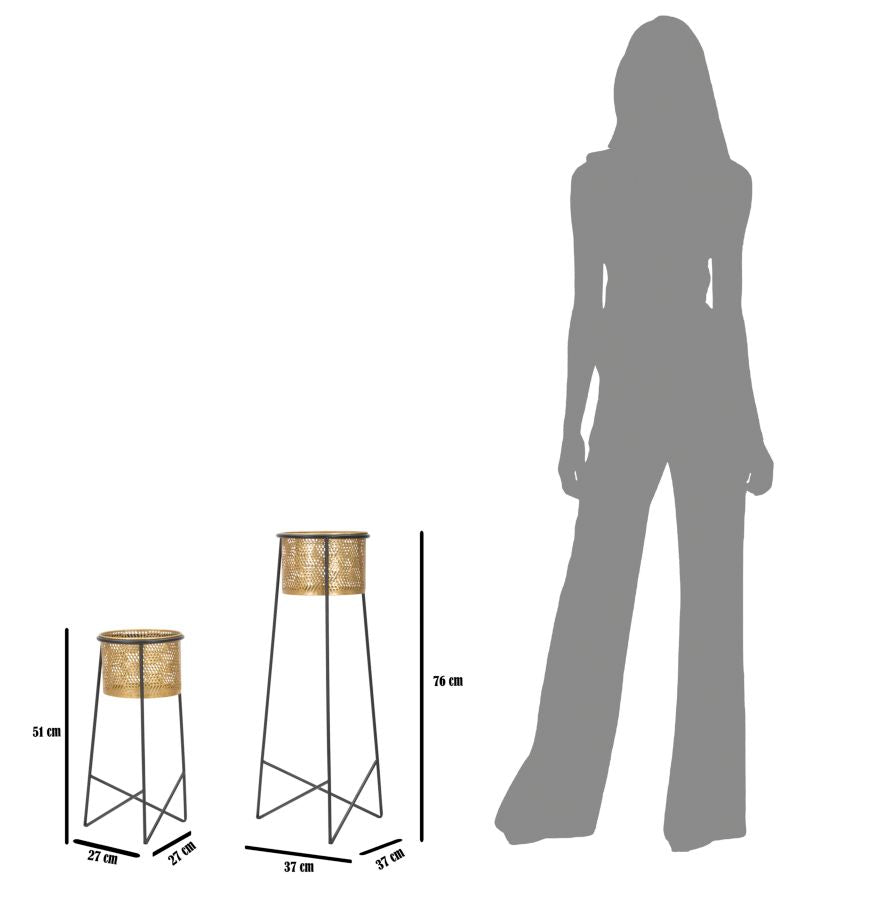 P/VASI COPPIA EXY CM ? 37X76-27X51