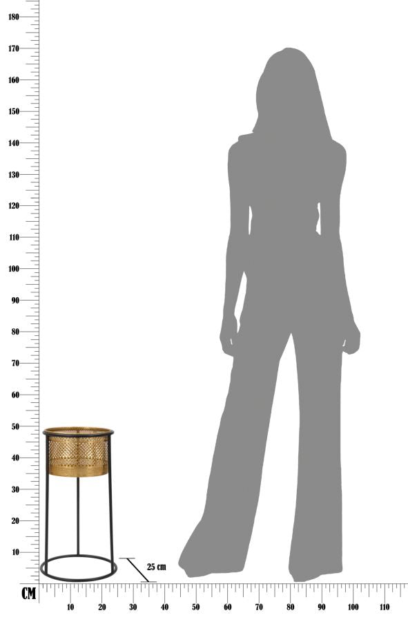 P/VASI SIMPLEMENT CM ? 25X50