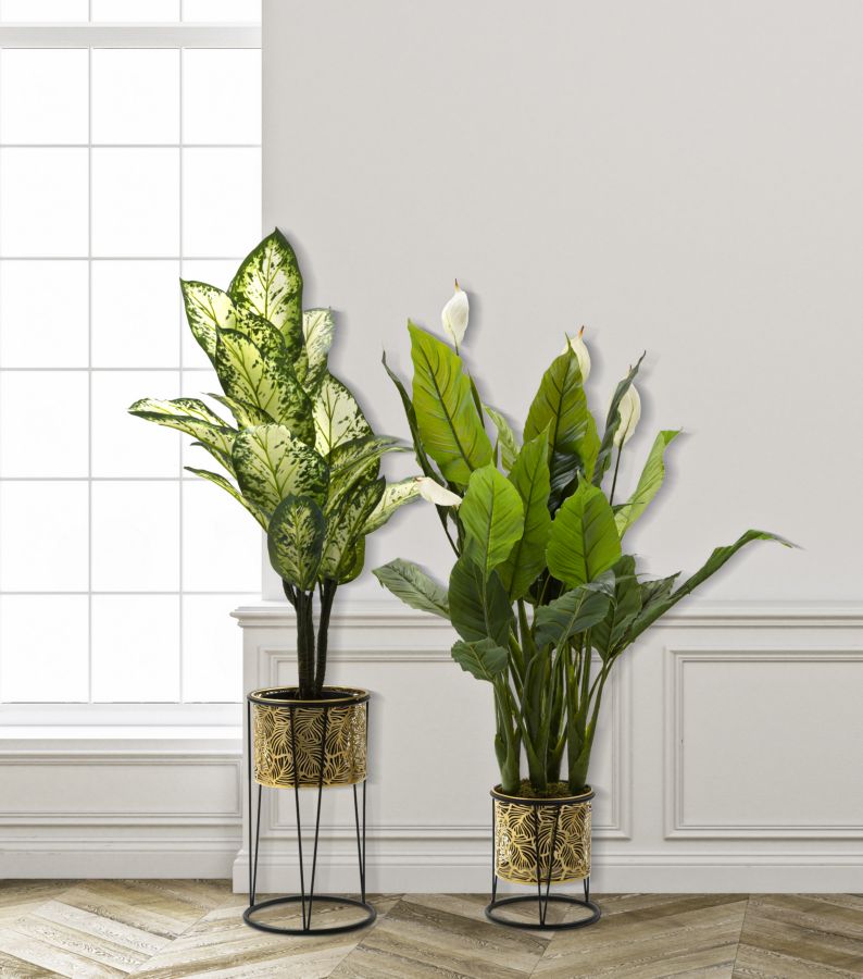 P/VASI LEAVY COPPIA -A- CM ? 21X40-19X22