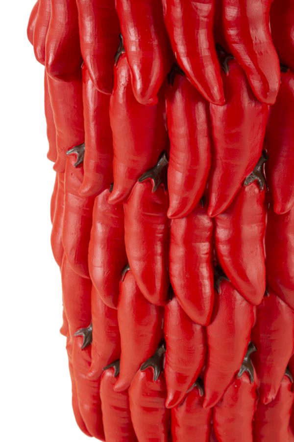 VASO CHILI CM ? 20X34
