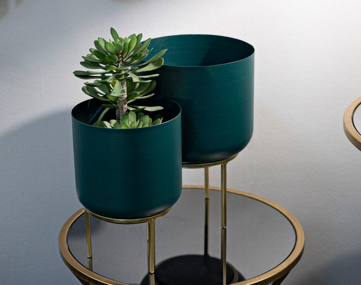 P/VASI GRENT ENSEMBLE 2 PZ CM ? 20X29-16X24