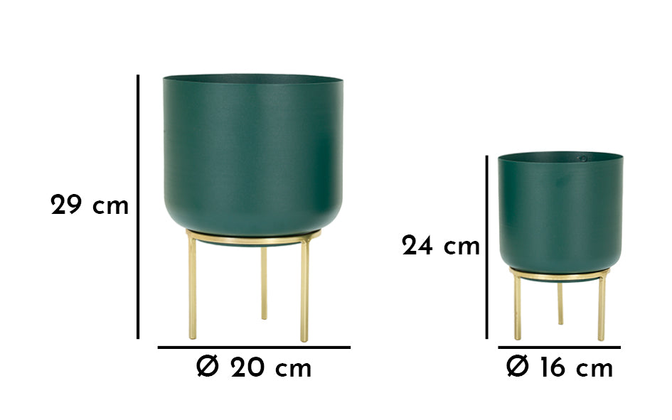 P/VASI GRENT ENSEMBLE 2 PZ CM ? 20X29-16X24