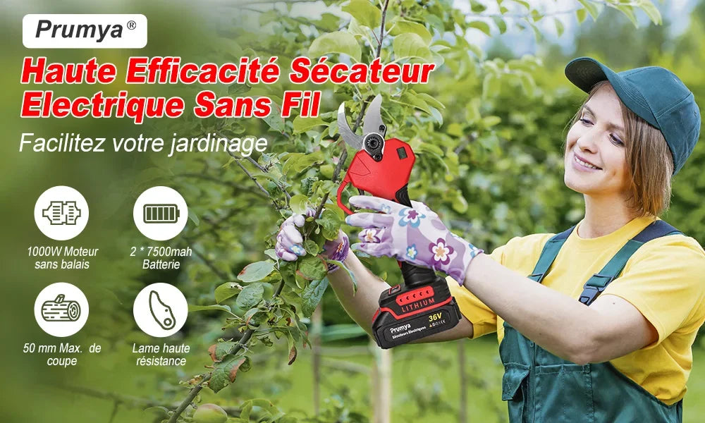 S¨¦cateur ¨¦lectrique sans fil sans balais, s¨¦cateur de jardin, outil de coupe de branches d'arbres fruitiers, 1000W, 50mm, 2 piles 36V