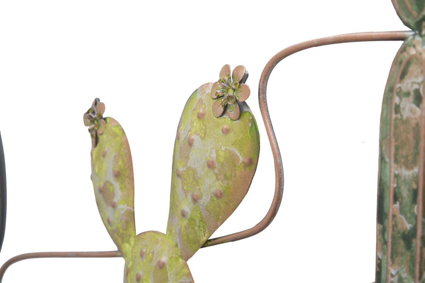 PANNELLO EN FERRO CACTUS -B- CM 90X2,5X64