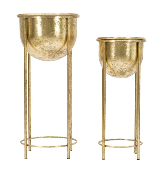 P/FIORI GLAM COPPIA CM ? 27X62-21,5X52