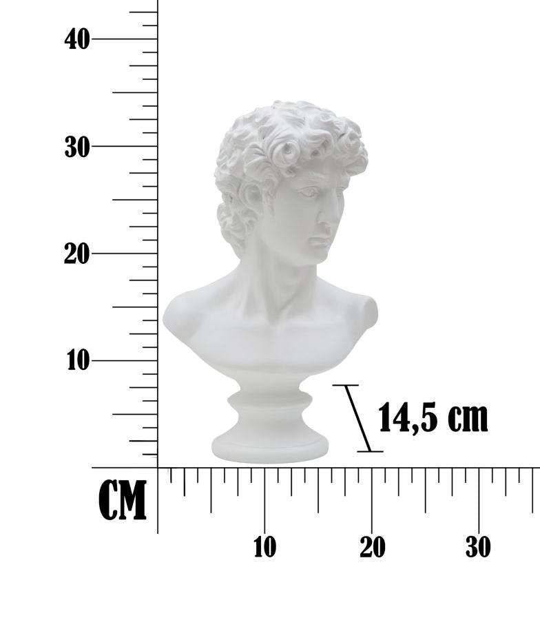 SCULTURE ROMAINE CM 21,5X14,5X34