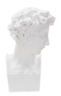 SCULTURE ROMAINE JEUNE CM 20X17,5X30