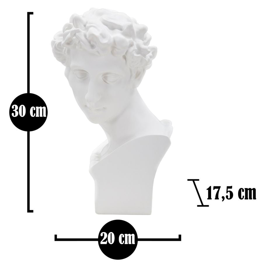 SCULTURE ROMAINE JEUNE CM 20X17,5X30