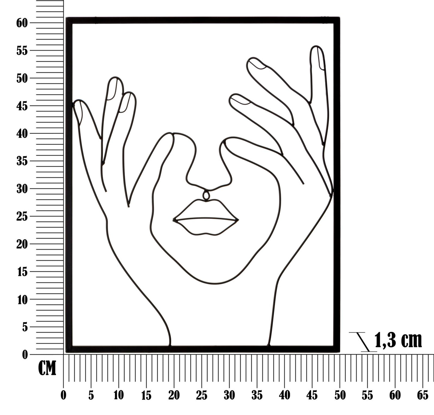 PANNELLO EN FERRO SIMPLEMENT FACE CM 50,5X1,3X61