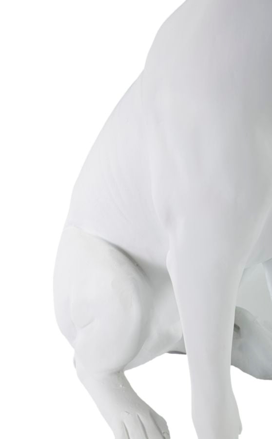 CANNE C/CORONA BIANCO CM 20X12,5X33