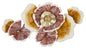 PANNEAU EN FERRO CLOW CM 92,1X8,3X51,4