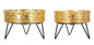 P/VASI ZANNY COPPIA CM ? 20,5X13-18X13