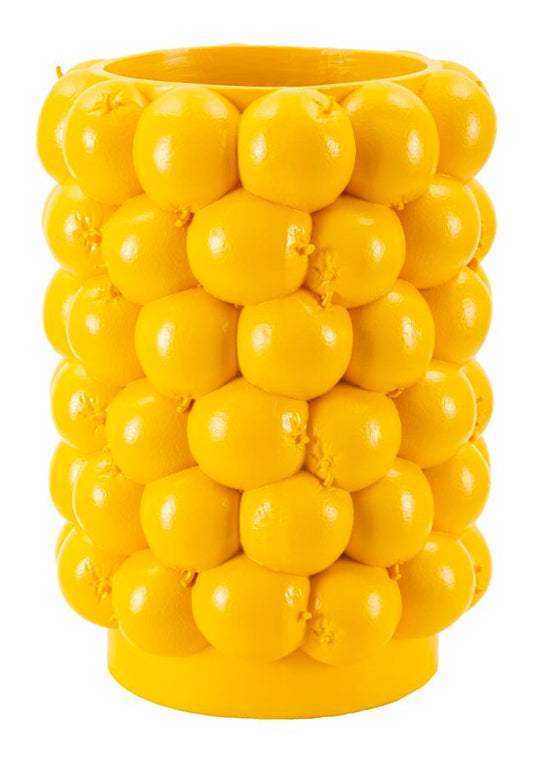 VASO CITRONS CM ? 21X28