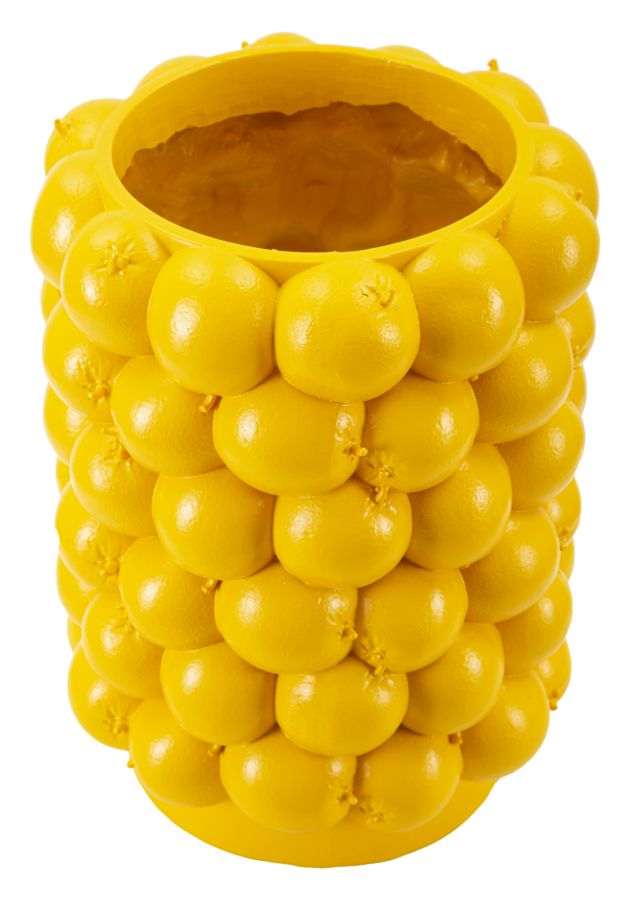 VASO CITRONS CM ? 21X28