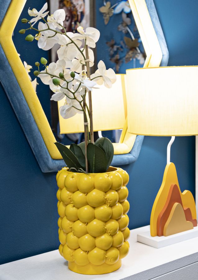 VASO CITRONS CM ? 21X28
