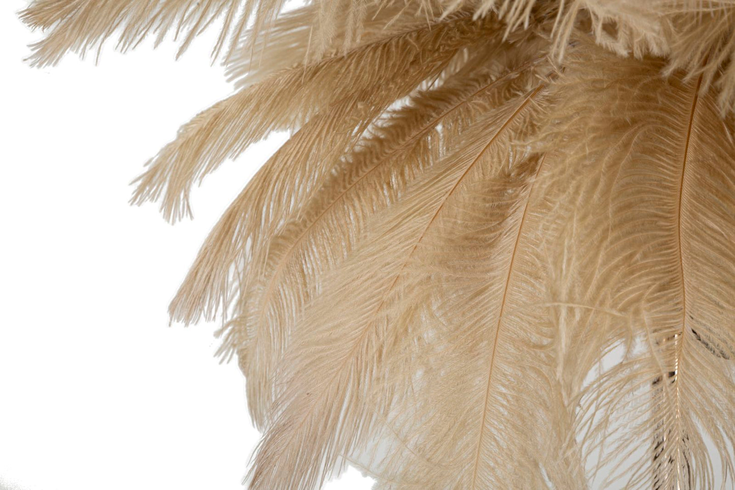 LAMPADA DA TAVOLO PALM CAMMELLO CM ? 55X60
