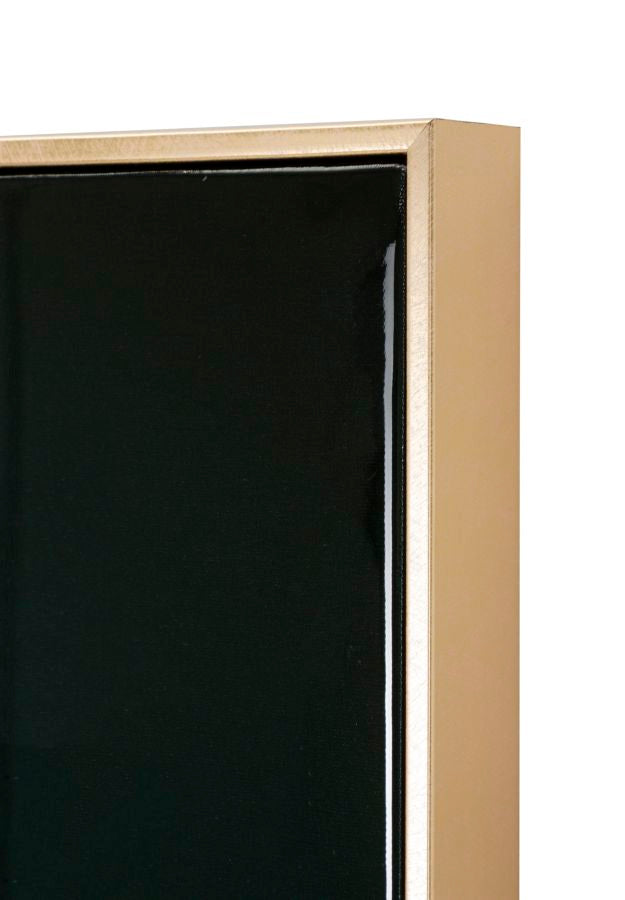 DIPINTO SU TELA LACCATO KONGY -A- C/CORNICHE CM 62X4X92
