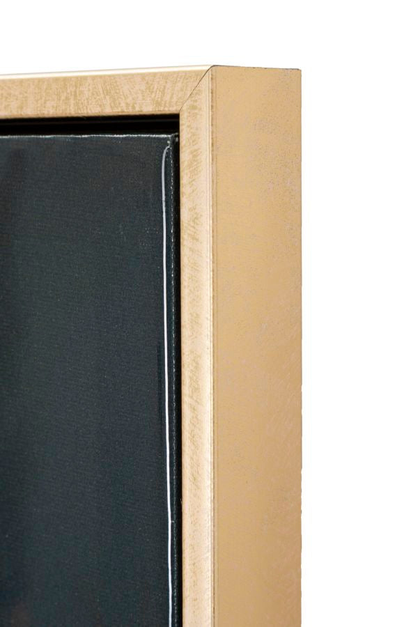 DIPINTO SU TELA LACCATO MONKY C/CORNICHE CM 52,5X2,8X72,5