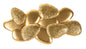 LAMPADA DA MURO COQUILLE CM 59,8X11X31