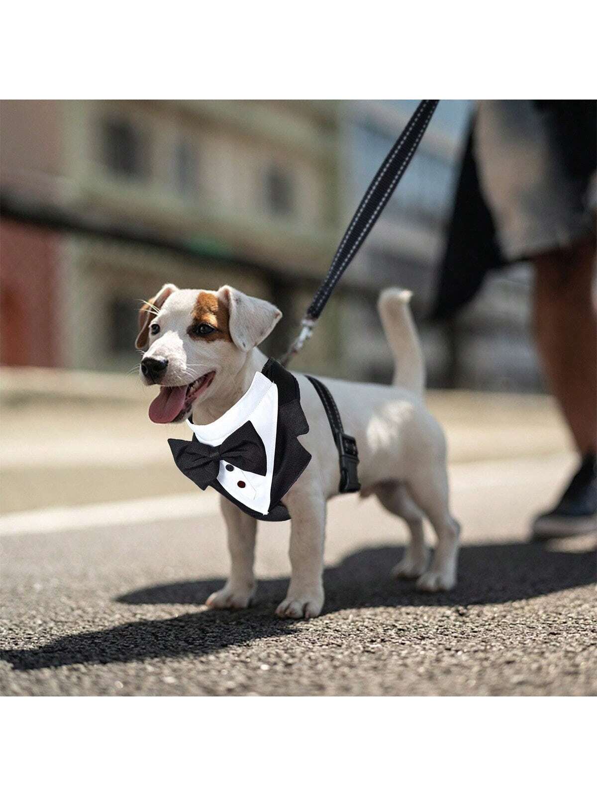 Costume de chien, ensemble de smoking pour chien, objet manteau formel pour chien