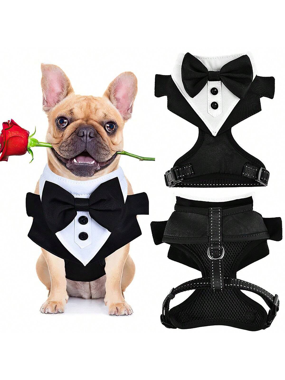 Costume de chien, ensemble de smoking pour chien, objet manteau formel pour chien