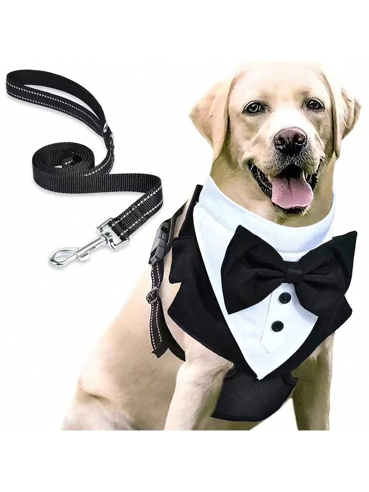 Costume de chien, ensemble de smoking pour chien, objet manteau formel pour chien