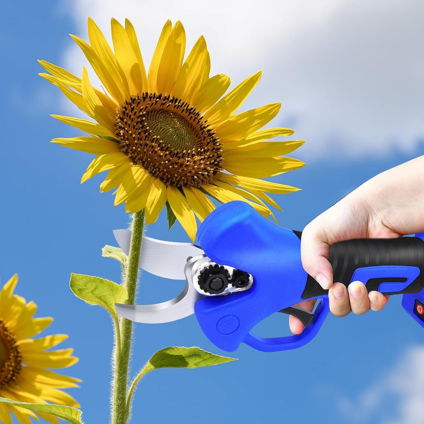 S¨¦cateur ¨¦lectrique, S¨¦cateur de Jardin Sans Fil avec 2PCS Batterie, Cisailles ¨¦lectriques Professionnels de 30mm de Diam¨¨tre Pour Branches de Arbres, Moteur Sans Balais