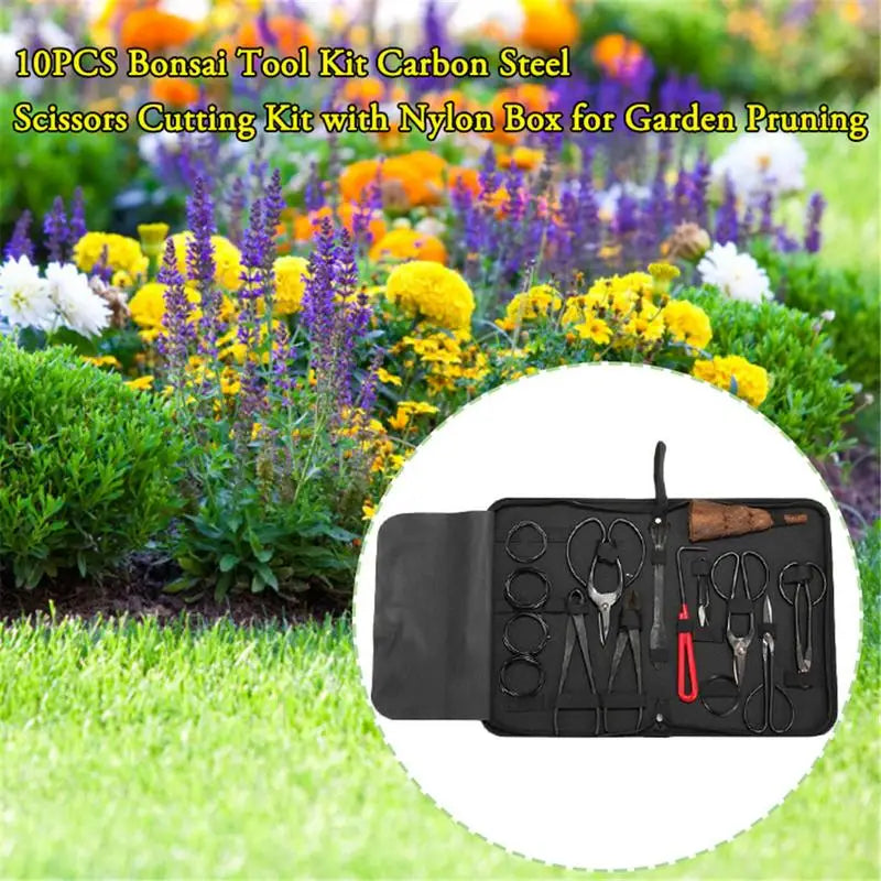 Ensemble d'outils en acier au carbone pour bonsa?, kit de ciseaux multifonctions, outils de taille de jardin, ¹Ètui en nylon, outils de style bonsa?, 10 piõ¹ces