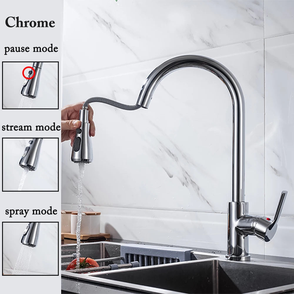 Robinet de cuisine noir ¨¤ nervures pour ¨¦vier de centre commercial, pulv¨¦risateur ¨¤ jet de d¨¦gradbross¨¦, t¨ºte chrom¨¦e