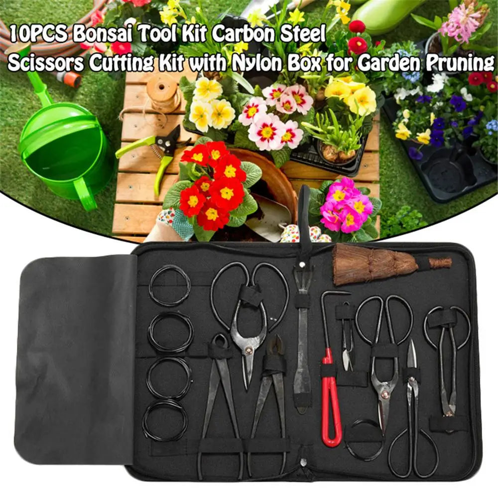 Ensemble d'outils en acier au carbone pour bonsa?, kit de ciseaux multifonctions, outils de taille de jardin, ¹Ètui en nylon, outils de style bonsa?, 10 piõ¹ces