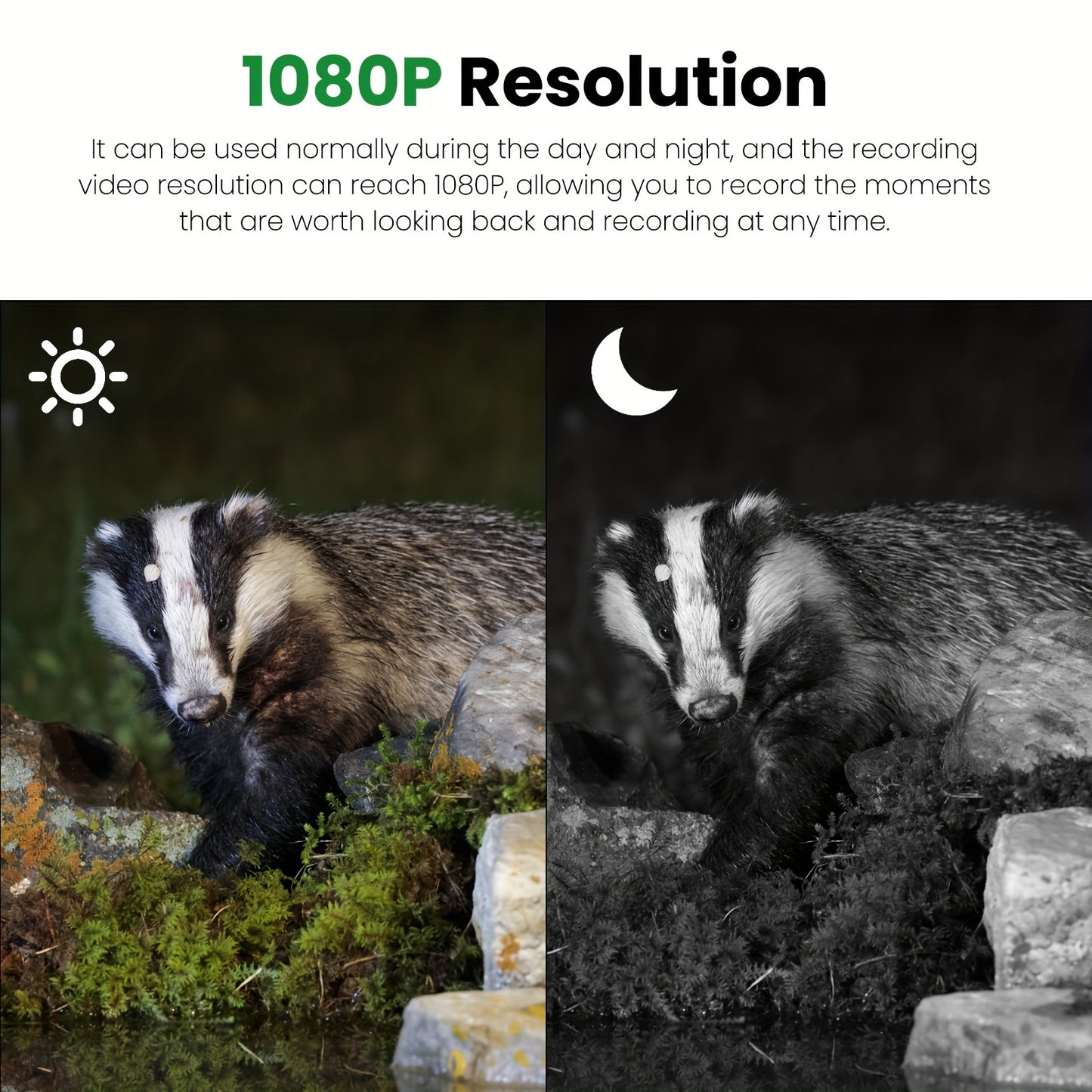 Cam¨¦ra d'ext¨¦rieur 16MP 1080P avec d¨¦tection de champ, ¨¦cran couleur TFT 5.08 cm, utilisation jour et nuit, cam¨¦ra de vision nocturne, 12 langues en option